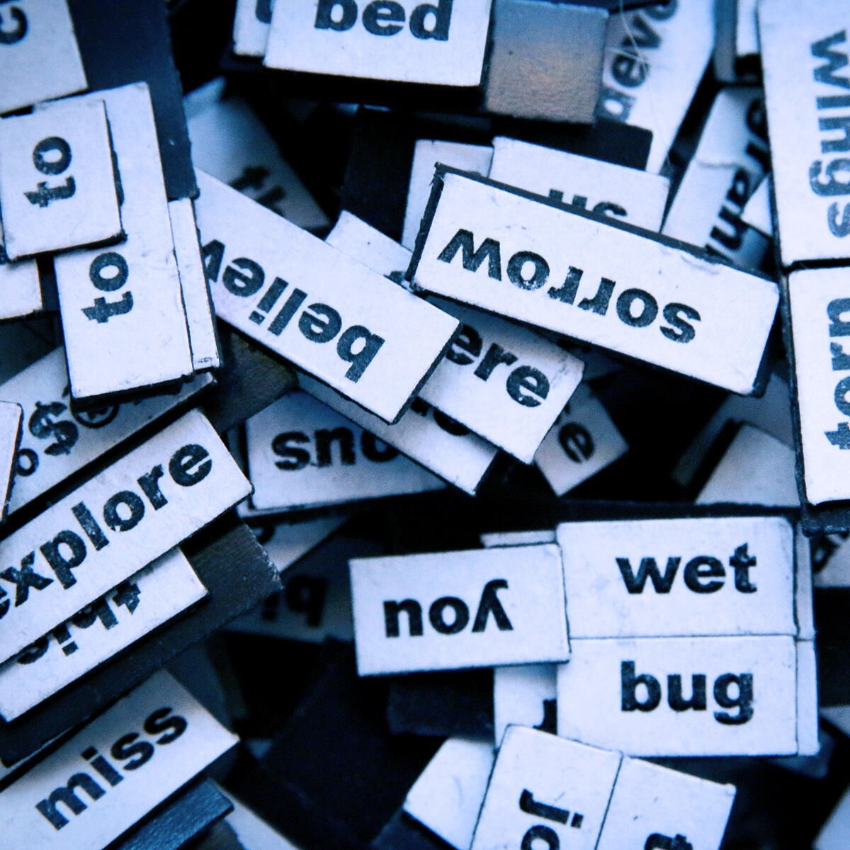 Many English words, among which 'you', 'bug', 'sorrow' can be seen