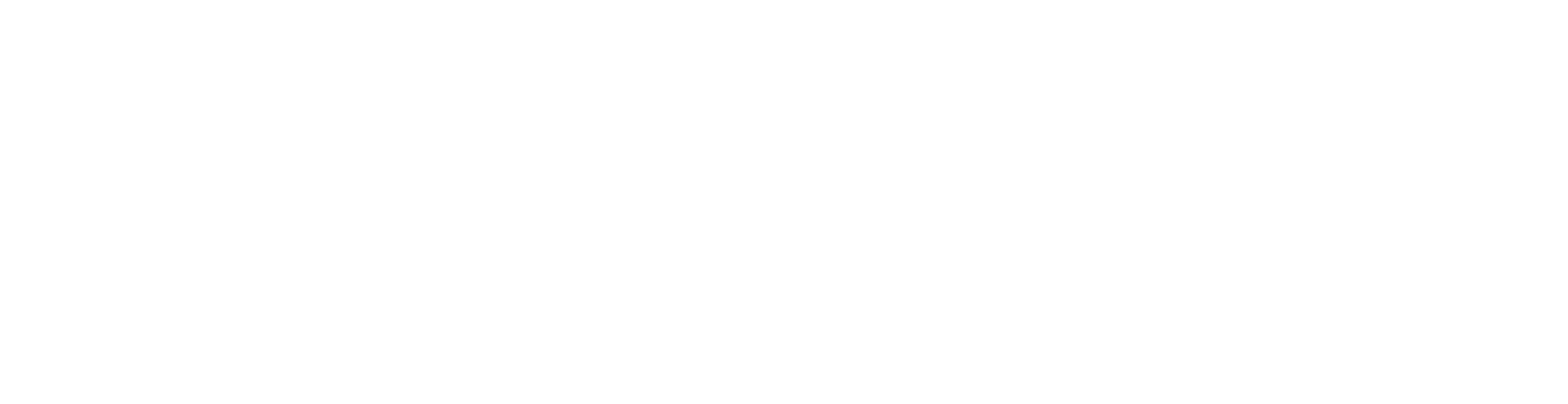 leonardo