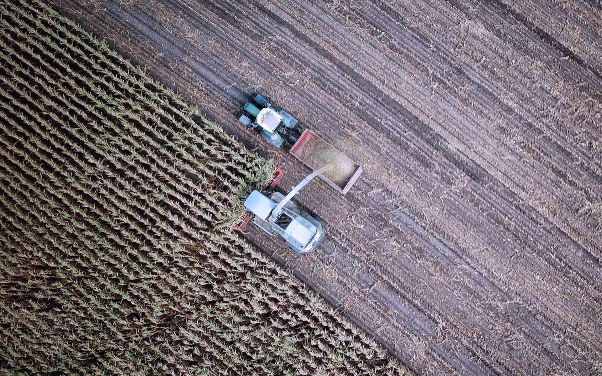 Tractor plowing fields seen from above.