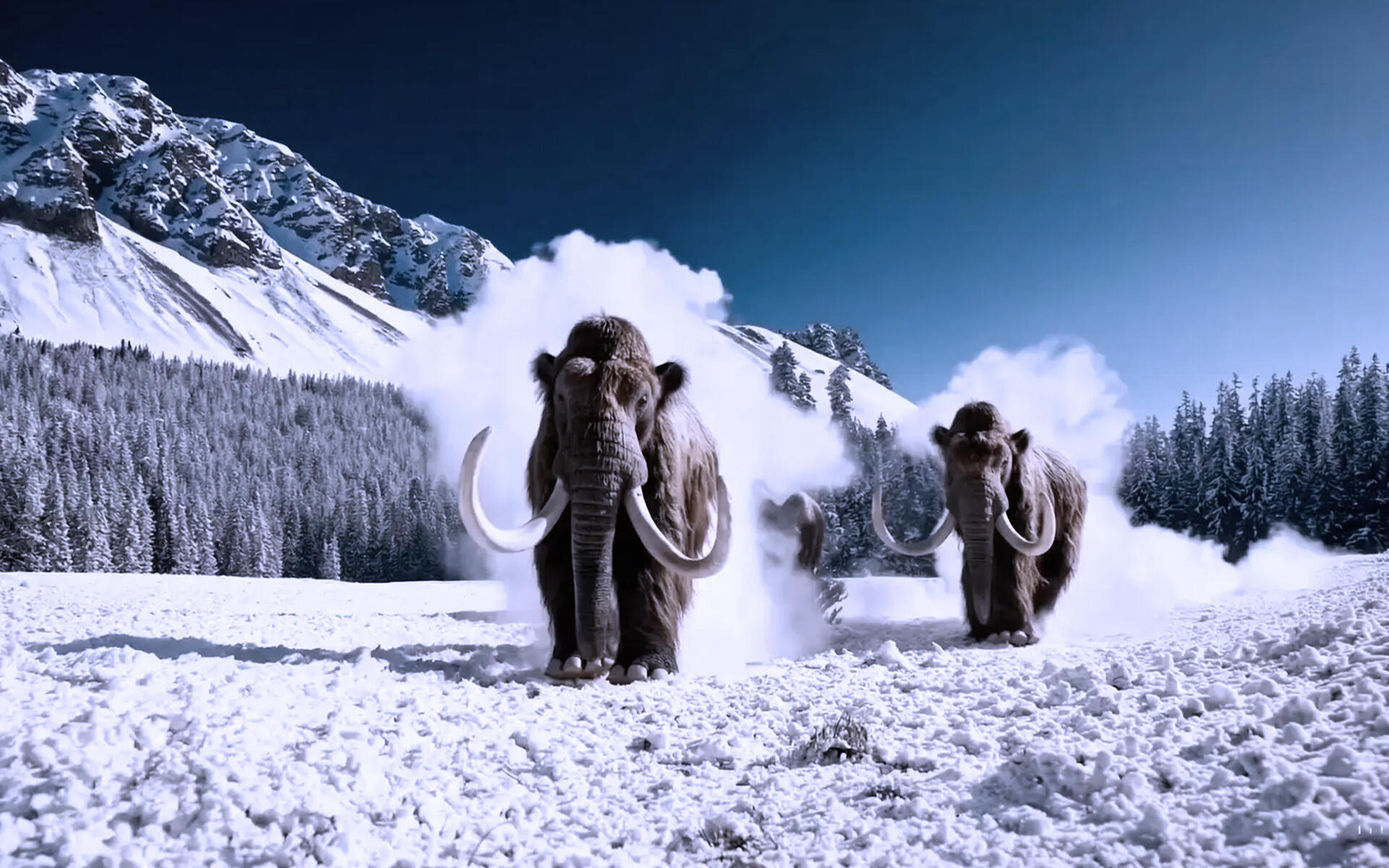 Screenshot of one of the videos generated with Sora, OpenAI's video generation model. The video shows mammoths walking in the snow in a realistic style.